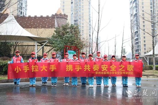 市實(shí)驗(yàn)小學(xué)安全宣講員在廣場宣傳_副本.jpg.jpg