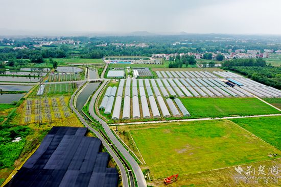 DJI_0824_副本.jpg