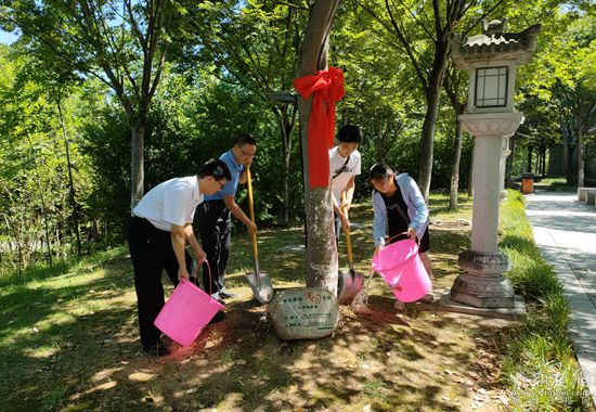 葉家樂一家給櫸樹松土、澆水_副本.jpg