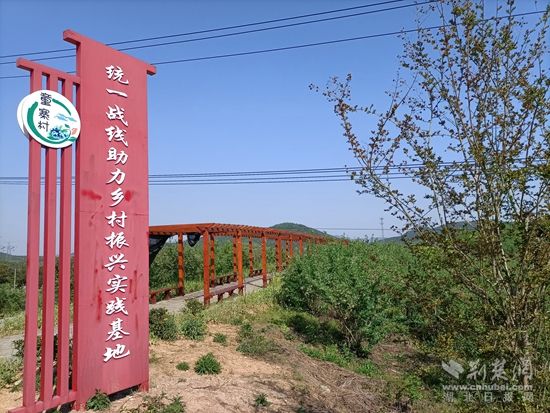 童寨藍(lán)莓基地統(tǒng)一戰(zhàn)線(xiàn)基地.jpg.jpg