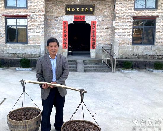 何道關(guān)與自己種的油茶果。黃錚 攝_副本.jpg.jpg