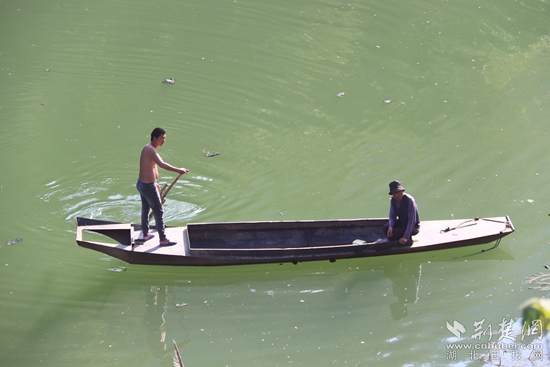 乘船出行、打魚(yú)至今都是盤(pán)山村民生活的一部分 黃錚 攝_副本.jpg