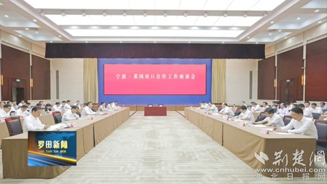 羅田縣與寧波及長三角區(qū)域簽約代表性項(xiàng)目.jpg