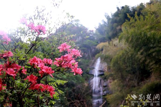 黃龍山頂，風景如畫 黃錚 攝_副本.jpg.jpg