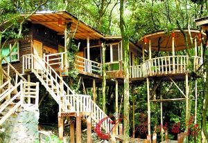 英德:為了這個站我們曾經(jīng)哭過(組圖)